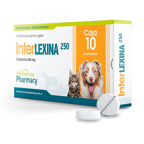 Cefalexina 250 mg (Interlexina)