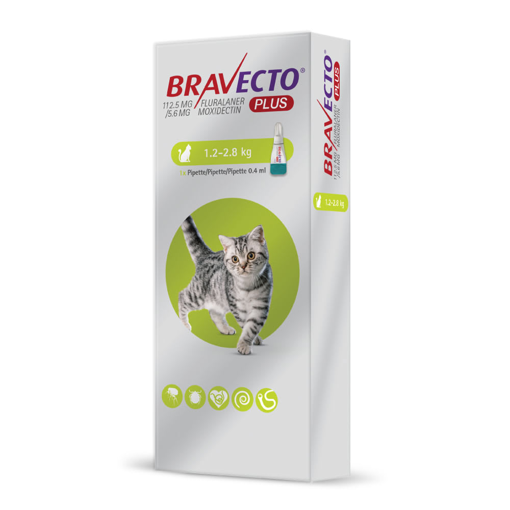 Bravecto® Plus Gato 112.5 mg (1.2 – 2.8 kg)