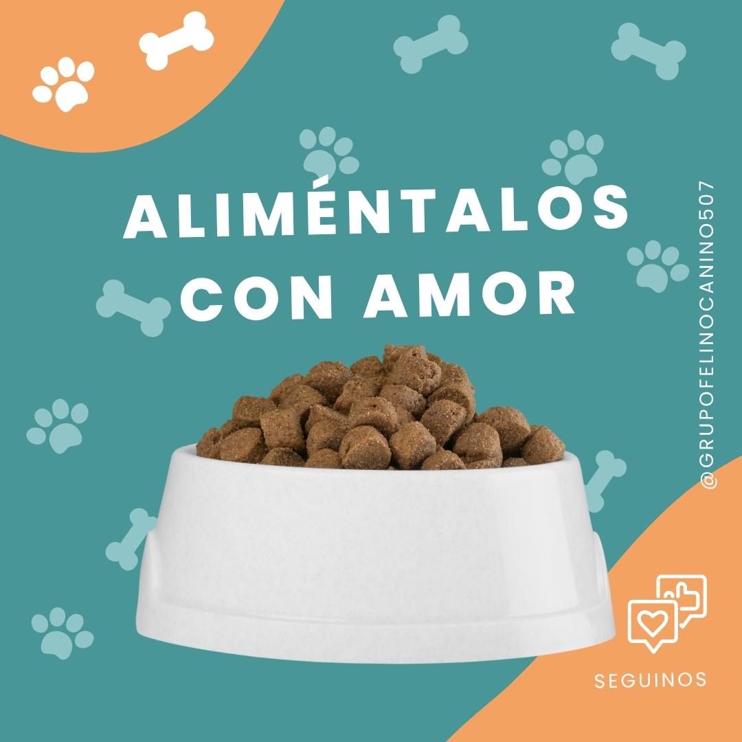 Alimentos - Felinos Caninos