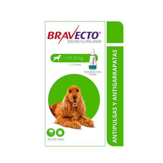 Bravecto® Spot-On 500 mg (10–20 kg) – Pipeta antipulgas y antigarrapatas