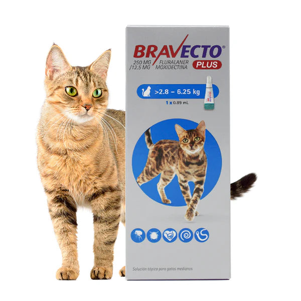 Bravecto® Plus Gato 280 mg (2.8 – 6.25 kg)