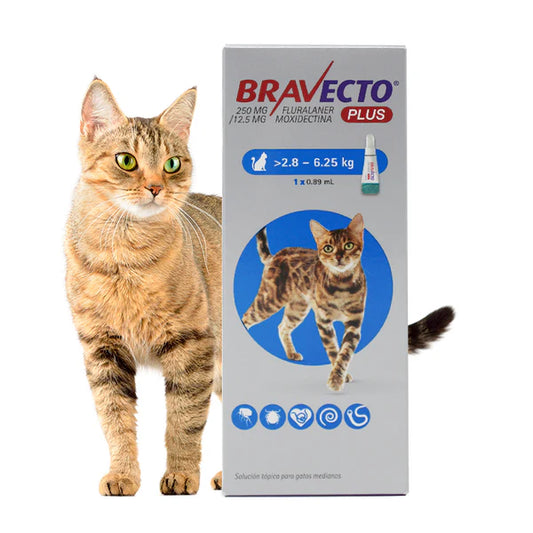 Bravecto® Plus Gato 280 mg (2.8 – 6.25 kg)
