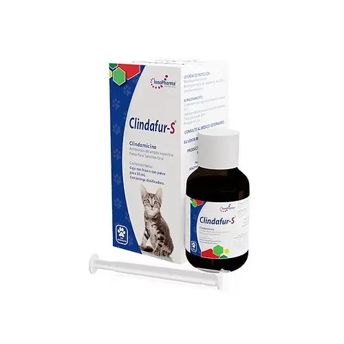 Clindafur S Suspensión – Antibiótico Oral de Amplio Espectro para Perros y Gatos