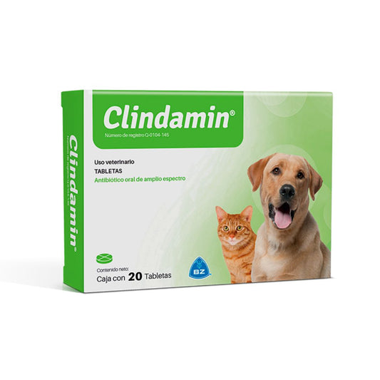Clindamin