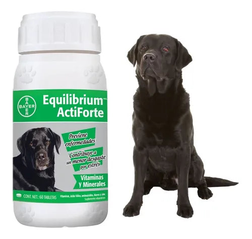 Equilibrium Actiforte x 60 tabletas