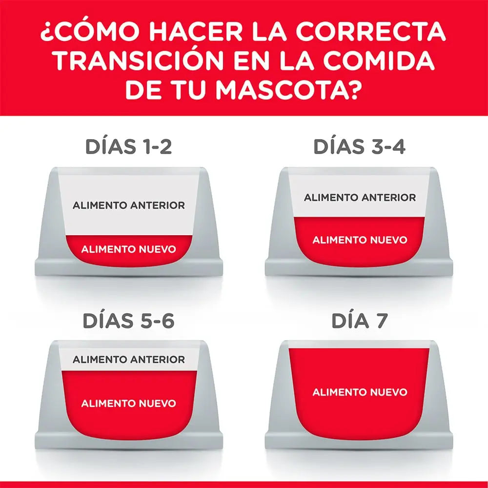 Hill's Science Diet Feline Kitten – Pollo 3.5 lb