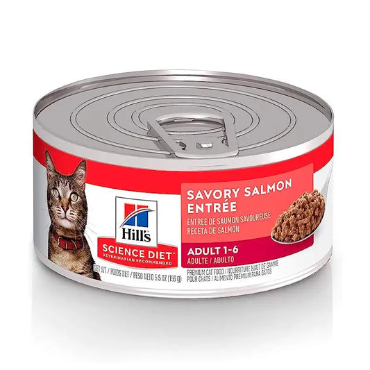 Hill's Science Diet Feline Adult – Salmón sabroso 5.5 oz