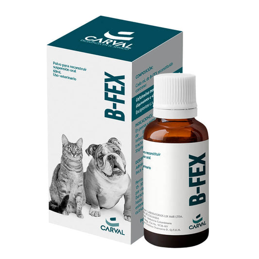 B-FEX Cefalexina – Suspensión oral antibiótica