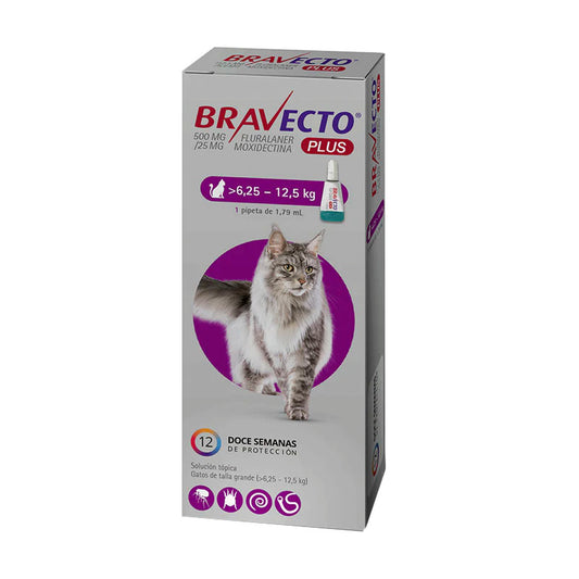 Bravecto® Plus Gato 500 mg + 25 mg (6.25 – 12.5 kg)
